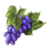 Concord Grapes