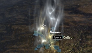 Nirnroot