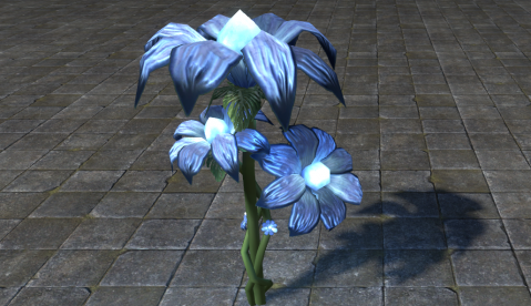 Цветы, Синий Звездоцвет