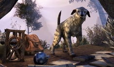 Whiterun Wolfhound