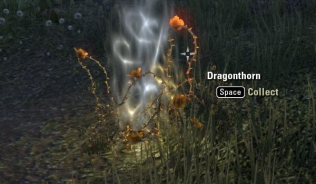 Dragonthorn