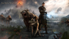 Творческое изображение - Morrowind Hero Art