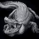 Аватар Kvezakh