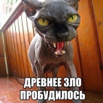 Аватар Blade30